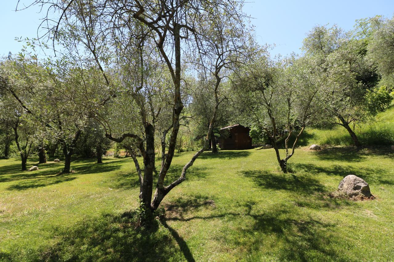 Bed and Breakfast La Cascata Negli Ulivi Toscolano-Maderno Exterior foto